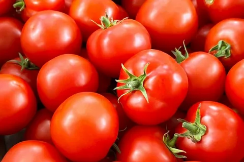 تصویر 4 از گوجه فرنگی رسیده آبدار شیرین مجلسی